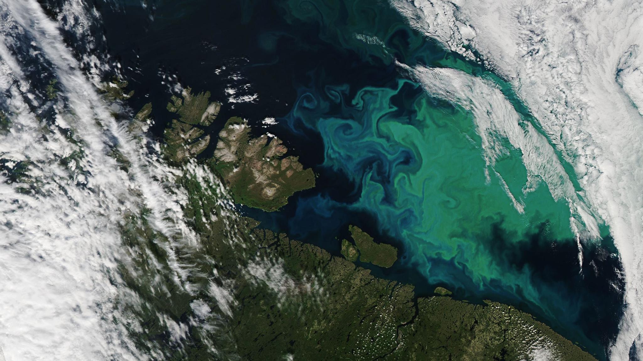 A sattelite photo showing land and darkblue sea, with a light green swirly patch in the sea