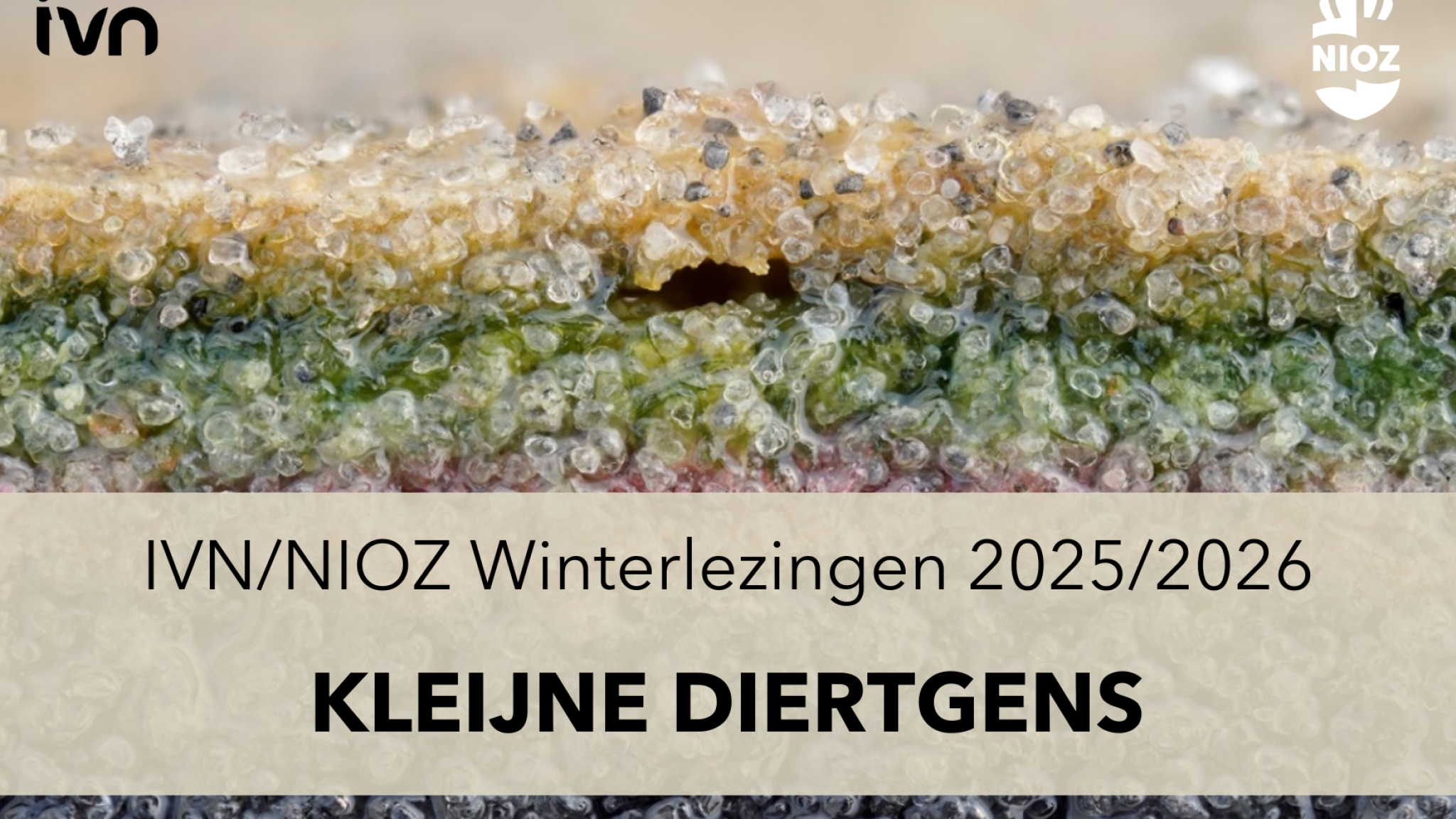 Cover poster of the 2025-2026 NIOZ winter reading about "little creatures' (Kleijne Diertgens) showing colored sand granules