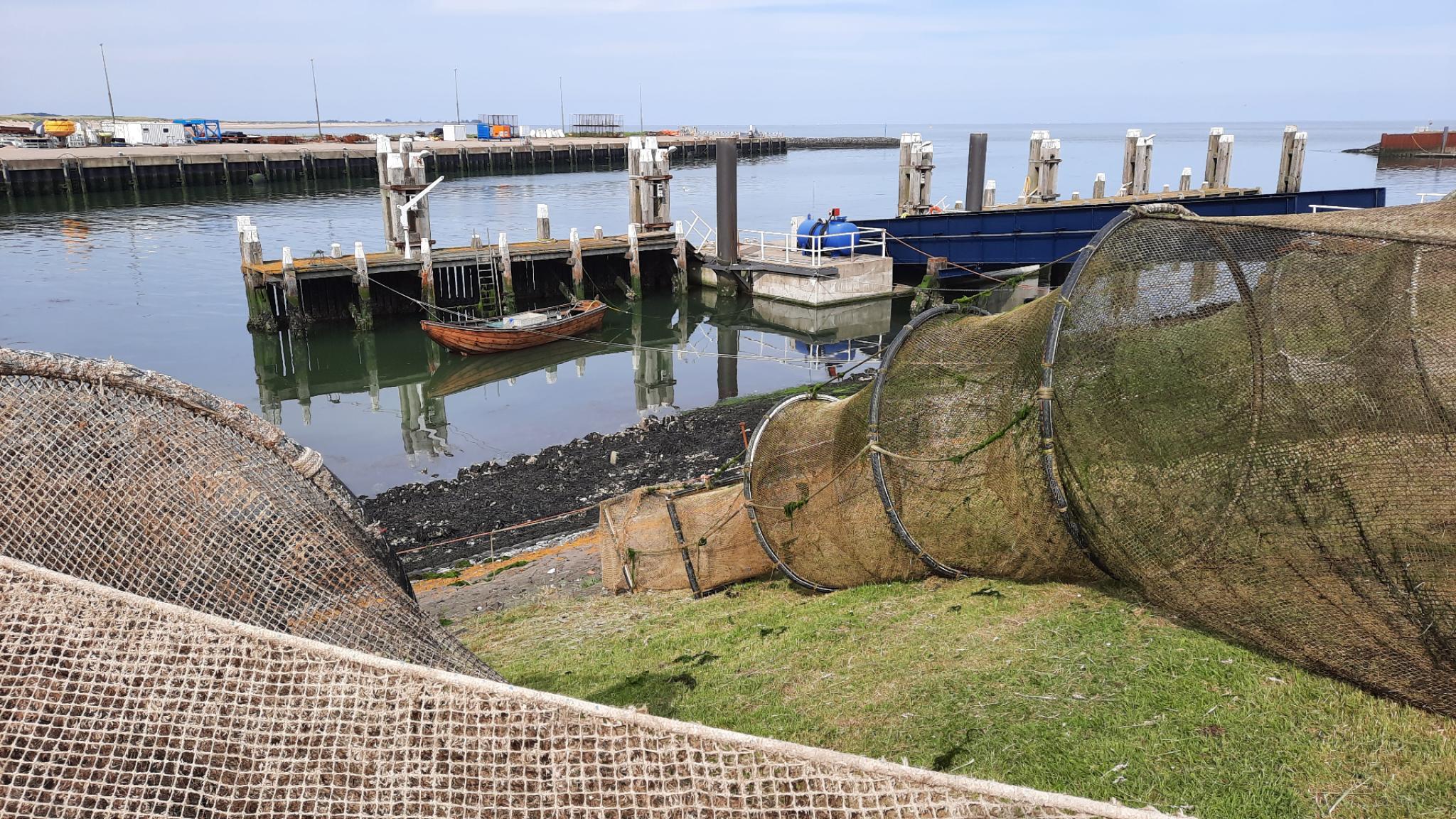 NIOZ fyke on Texel. Photo: Dennis Mosk