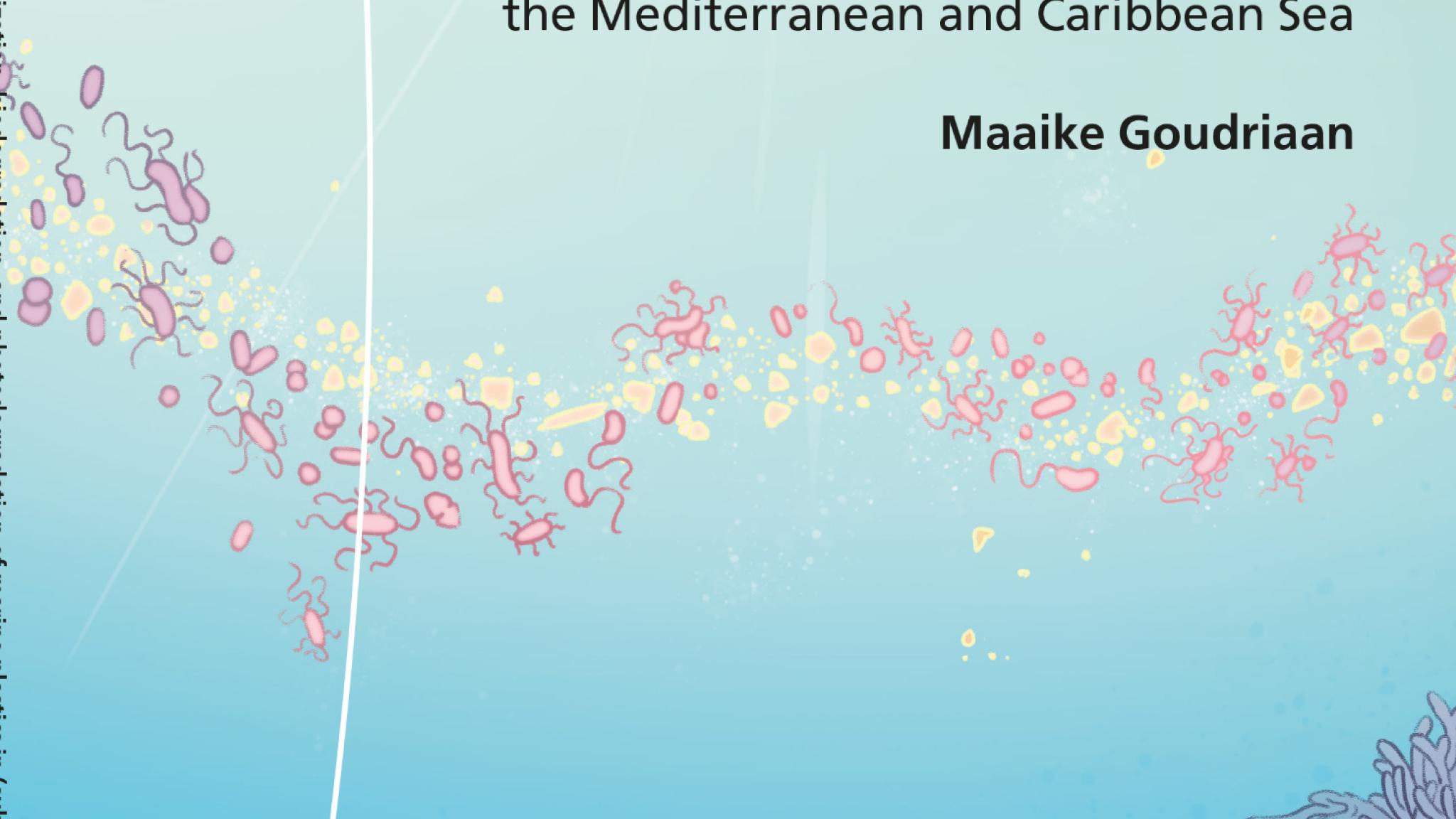 Illustrated thesis cover showing an underwater scene with stylized corals and marine life in blue and purple tones. A stream of small pink bacteria-like shapes and yellow plastic fragments flows diagonally across the center. The title reads ‘Microbial colonization, biodegradation, and photodegradation of marine plastics in (sub)tropical waters: Tracing bacteria-plastic interactions in the Mediterranean and Caribbean Sea,’ by Maaike Goudriaan.