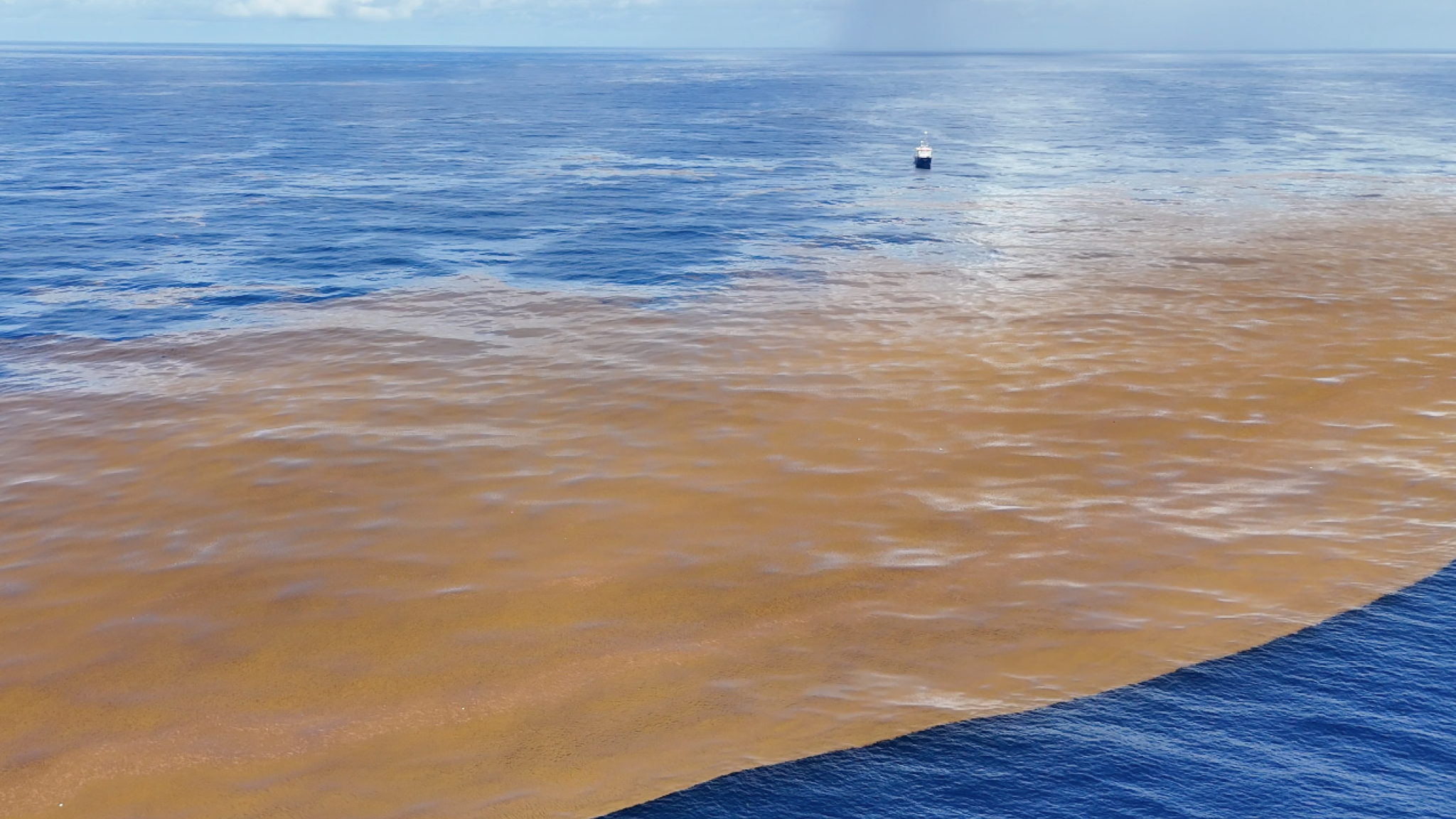 The RV Pelagia alongside one of largest Sargassum patches encountered on our voyage that extended kilometers in either direction, beyond the safe traveling distance of the drone (still image: L.A. Amaral-Zettler from E.R. Zettler drone video footage).