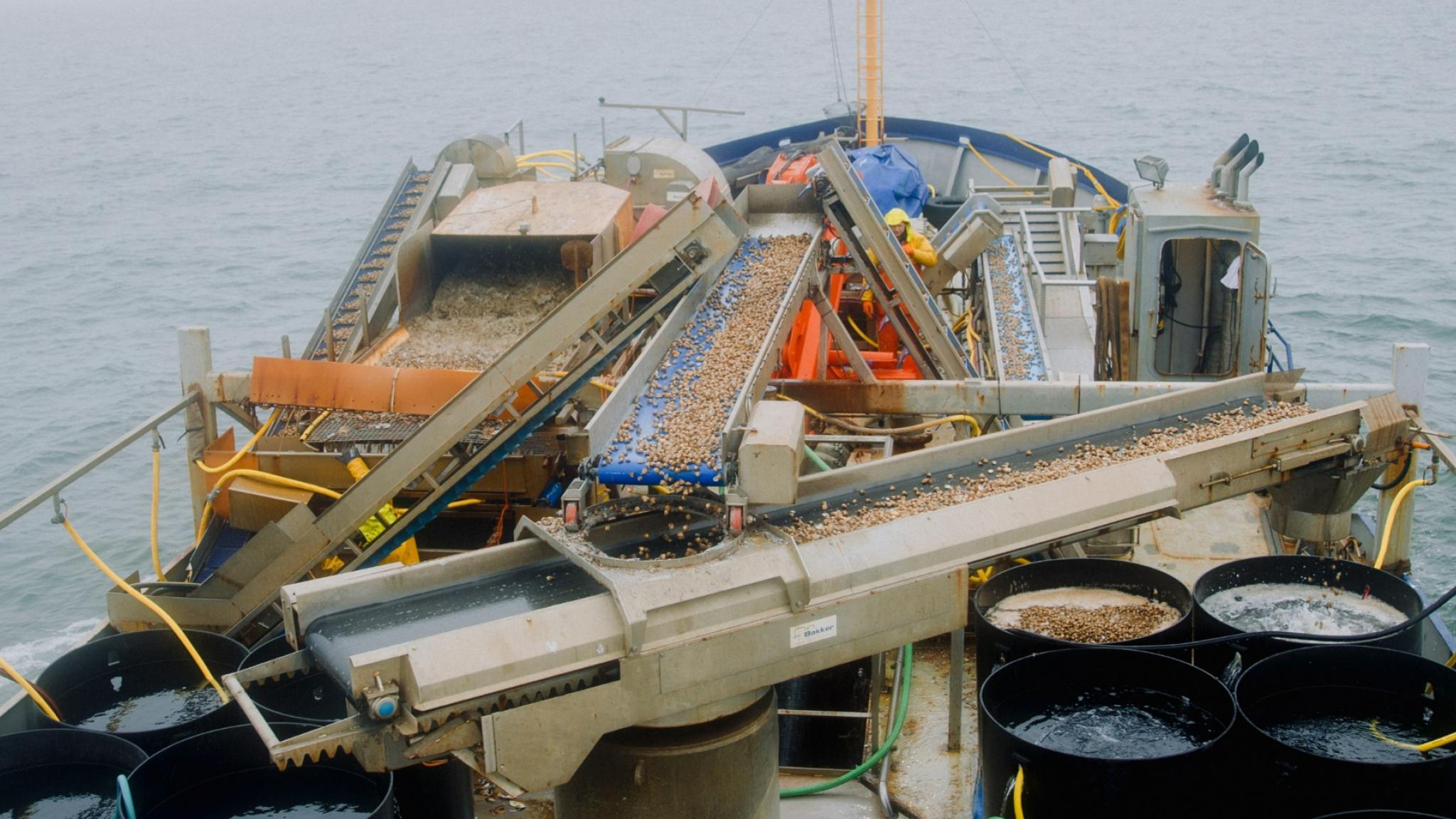 The deck of a fishing boat with the machinery that processes shellfish
