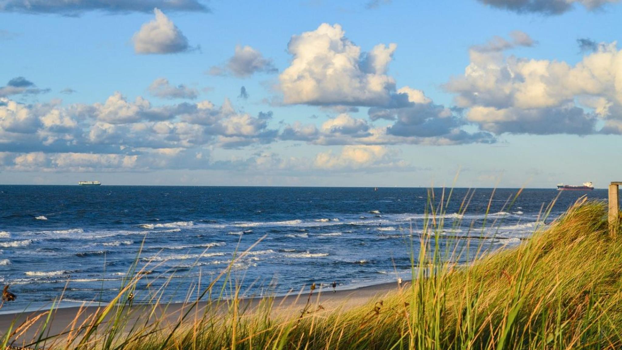 view on a blue sea with beach and dunegrass in the front and two ships on the horizon