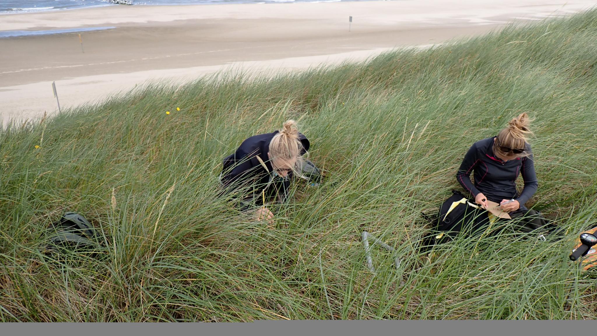 two women sitting in the dunes taking notes 