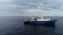 Pelagia_in_de_Noordzee_1200x600.jpg