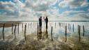 Two researchers on the mudflat, between poles that hold a mussel bed