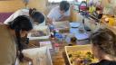 Four people around a table. All four have a tray in front of them with shrimp samples that they are sorting and identifying.