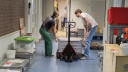 Two people lifting a large metal box in a hallway, placing it onto a pallet jack. Around them are multiple stacked boxes and containers, prepared for transfer.