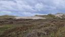 overgrown dune with bare sandy area