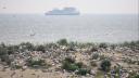 A coastal sandbank on Ameland filled with nesting sandwich terns, with many birds resting on the ground and some flying above, and a ferry blurred in the background over the sea.