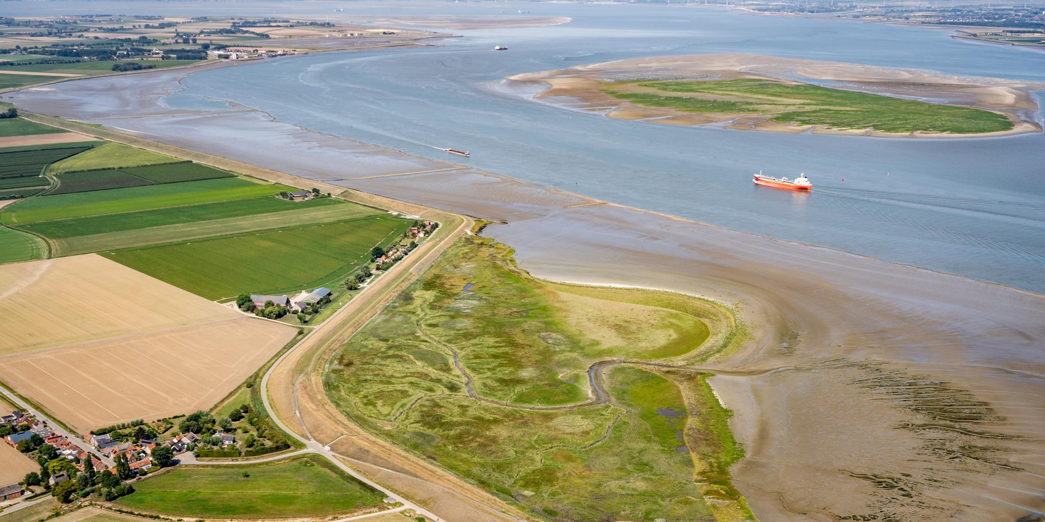 Droneafbeelding van zoutmoeras, wad en waterweg in de Westerschelde