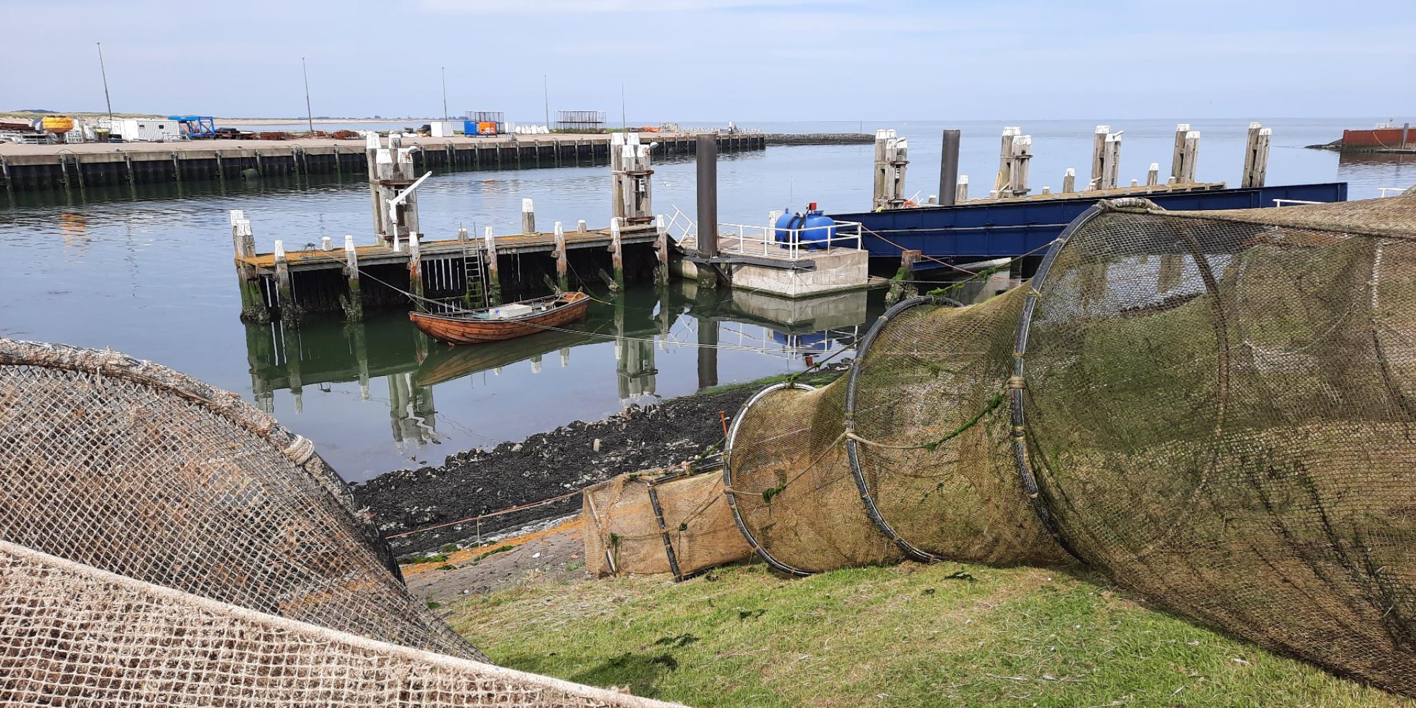 NIOZ fyke on Texel. Photo: Dennis Mosk