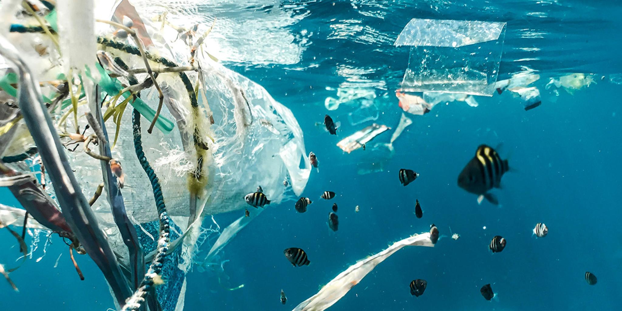 Underwater view of floating plastic, including bags, ropes, and fragments, tangled among small reef fish swimming in clear blue water.