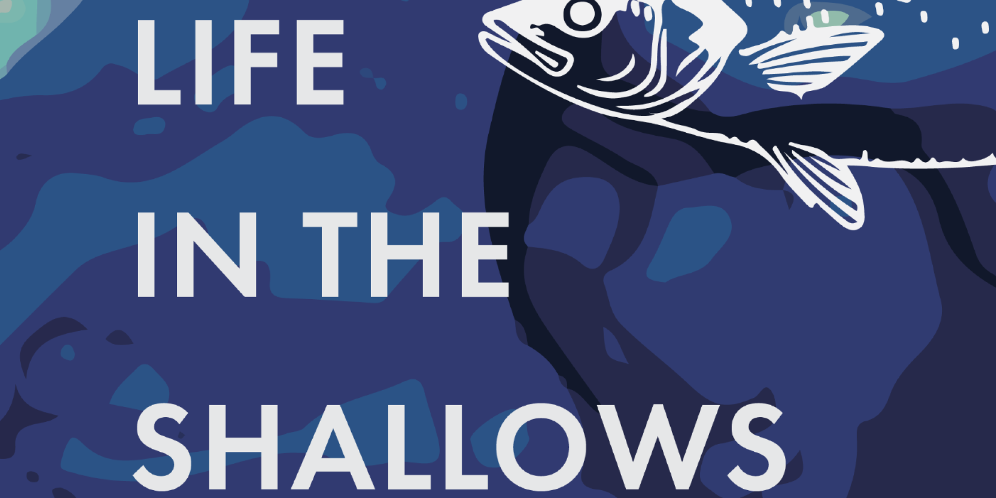 PhD thesis cover titled 'Life in the shallows; tracking fish movement within and beyond the Dutch Wadden Sea. Blue cover with white fish on it.(photo: Jena Edwards)