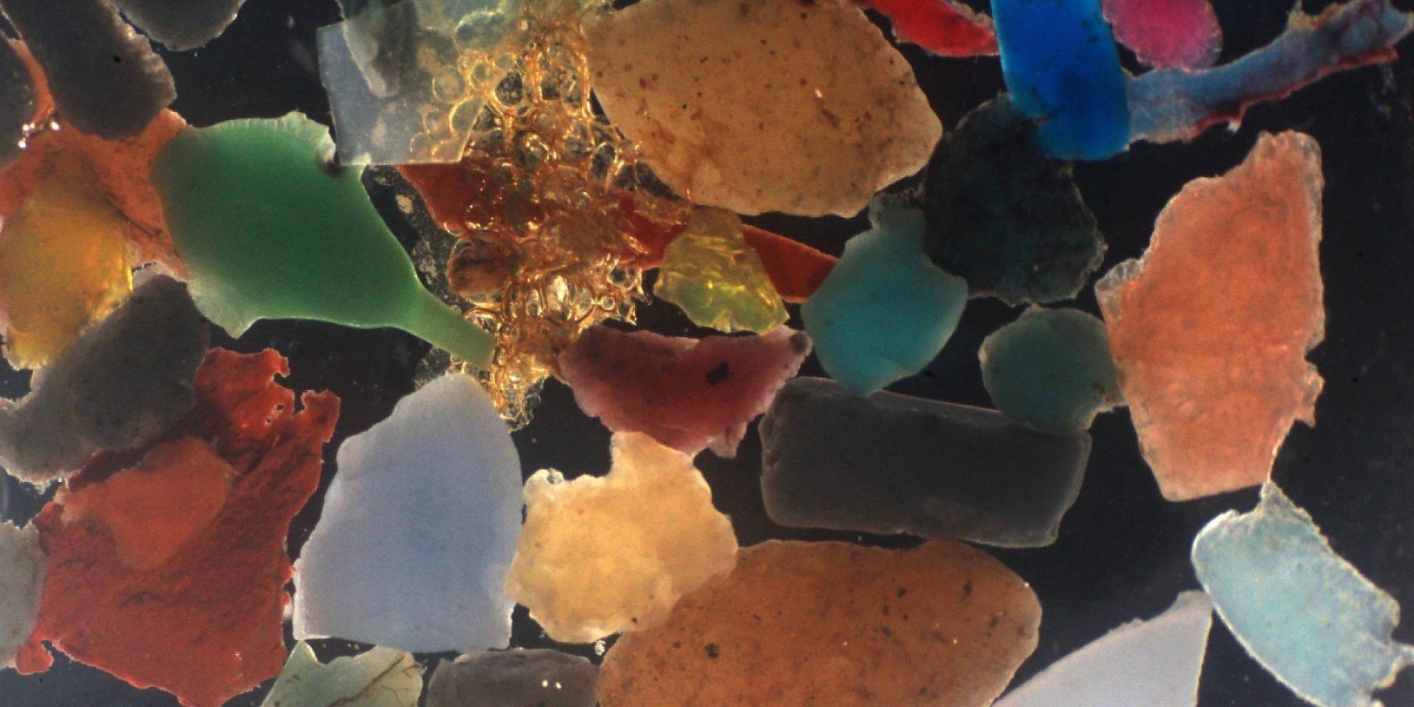 Plastic deeltjes van ongeveer 2 mm groot (foto: NIOZ)