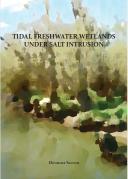 Cover proefschrift Eleonora Saccon