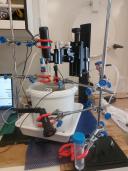 2)  The microsensor setup in action, measuring porewater oxygen concentrations and redox potential. (picture: Johan van Snippenberg)