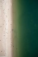 Harbour seals in the Dutch Wadden Sea. Photo: Jeroen Hoekendijk (NIOZ)