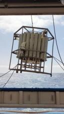 The Rosette coming out of the water