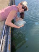Hannah with barrel jellyfish, Rhizostoma pulmo (© Quinten van Hove).